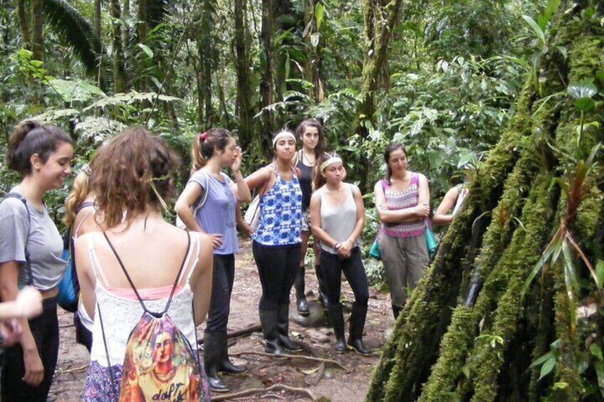 Puyo Jungle Tour (1 Day) USD