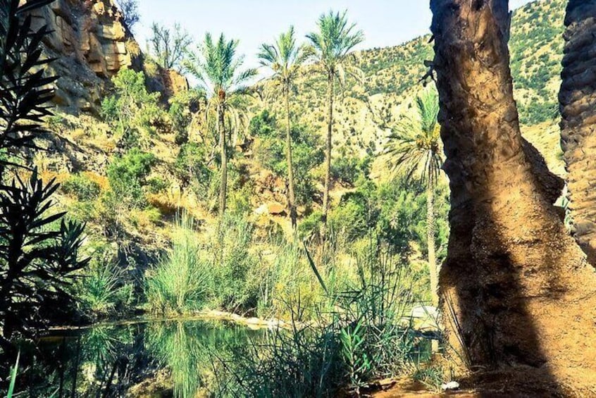 Paradise Valley in Agadir