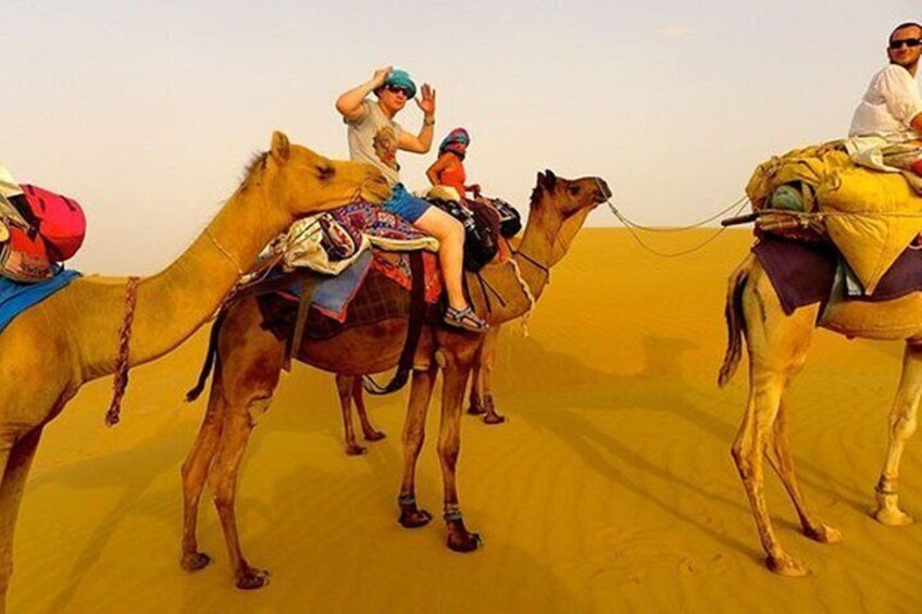 Sunset Camel Safari in Jaisalmer Sand Dunes & Dinner with Cultural Program