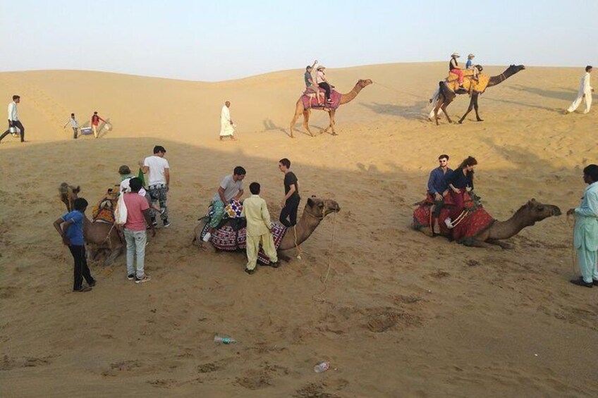 Sunset Camel Safari in Jaisalmer Sand Dunes & Dinner with Cultural Program