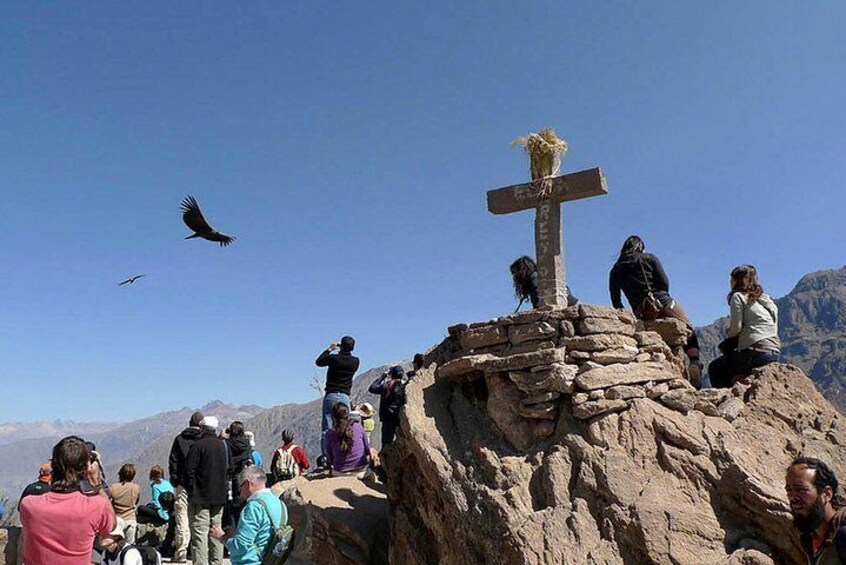 Excursion to Colca Canyon 1 Day
