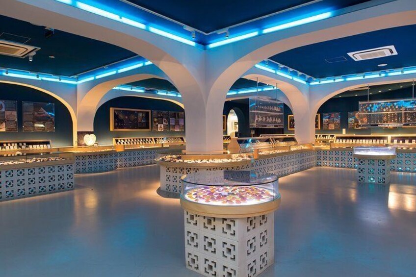 The Shell Museum exhibits about 1,500 kinds of shells from around the world with over 10,000 items.