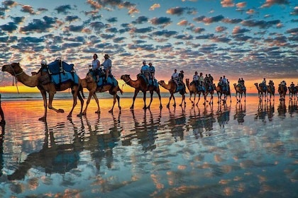 Passeggiate giornaliere al tramonto con cena "barbecue - couscous"