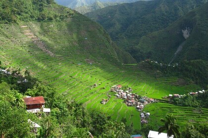 3D/2N Banaue-Batad Rice Terraces Tours (with private land transfers from Ma...