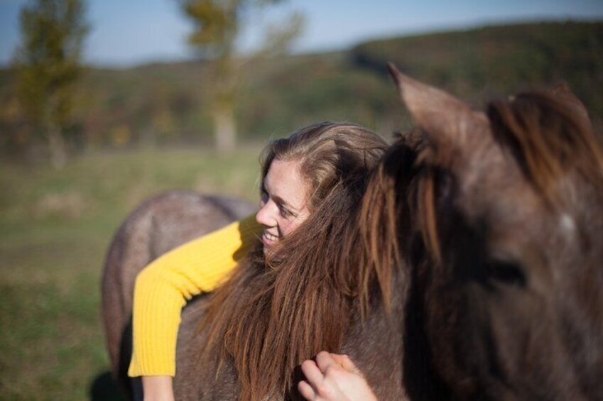 Two hours of horse riding tour from the stable in Zubra to Zhyrivka and back