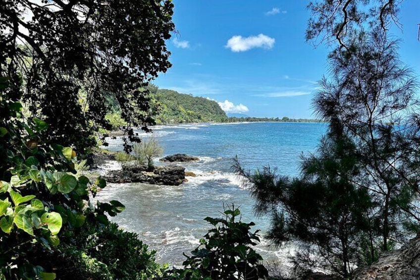 Tour of the island and peninsula WITH paragliding and Private Taxi Boat