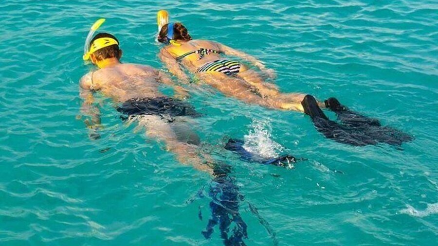Snorkeling at Mnemba Atoll