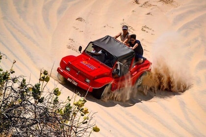 Buggy Tour along the North Coast (Genipabu)