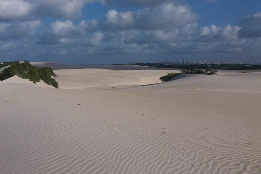 Buggy Ride (Genipabu Dunes)