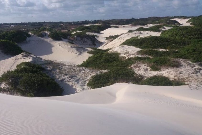 Buggy Ride (Genipabu Dunes)