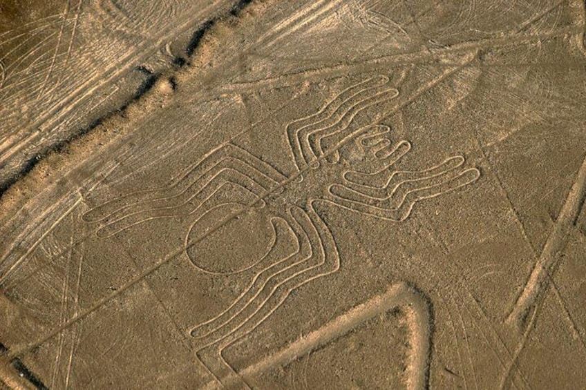 Flight over the Nazca Lines from Nazca (35 min)