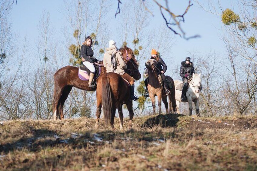 Five hours of extreme horse riding trip around Lviv city for experienced riders