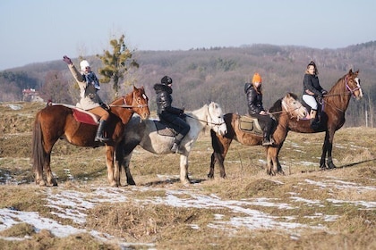 Five hours of extreme horse riding trip around Lviv city for experienced ri...