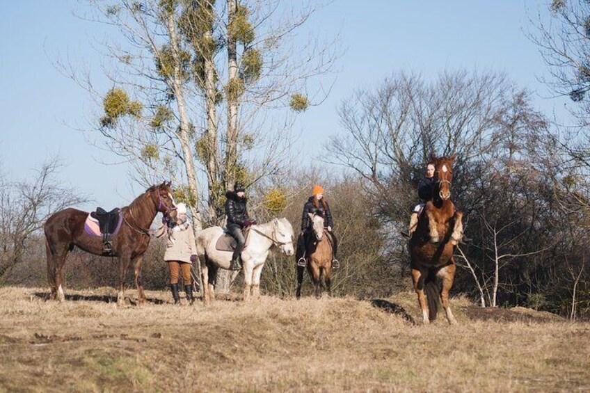 Five hours of extreme horse riding trip around Lviv city for experienced riders