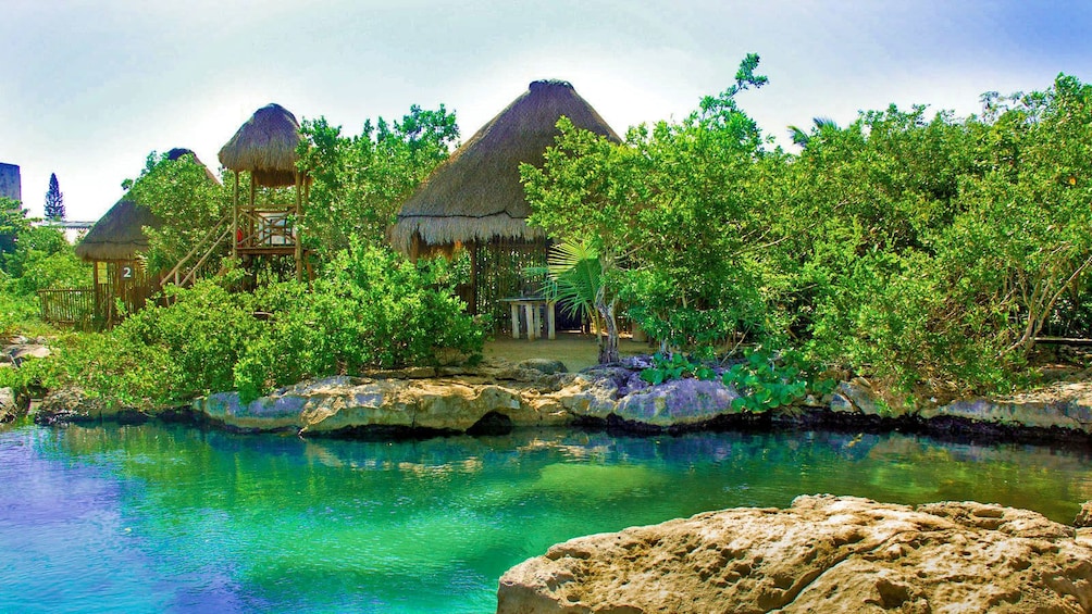 paradise experience tours cancun