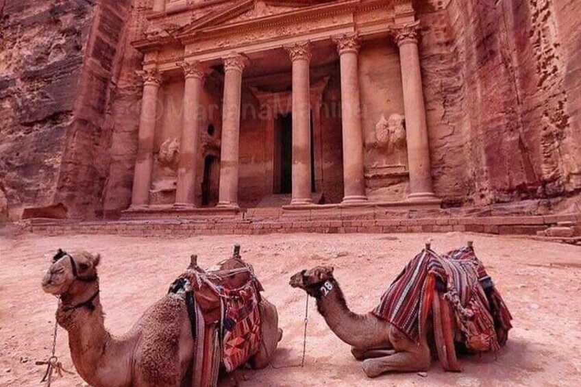 Petra private day tour from Amman