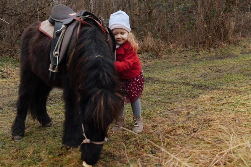 40 min of horse riding in Lviv city near the stable territory