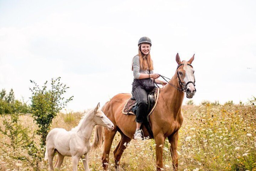 90 min of horse riding in Lviv city near the stable territory