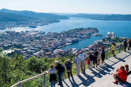 Private guided tour - Bergen City Sightseeing - Top Attractions