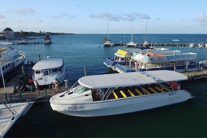 Private Boat Unlimited Party to Isla Mujeres + Transfer from Playa del Carm...