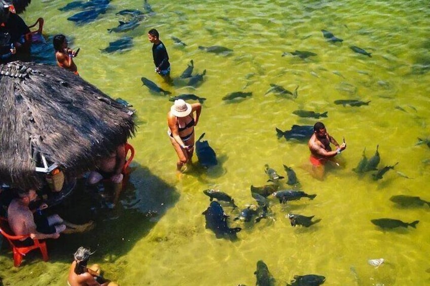 drone photo on tambaquis lagoon