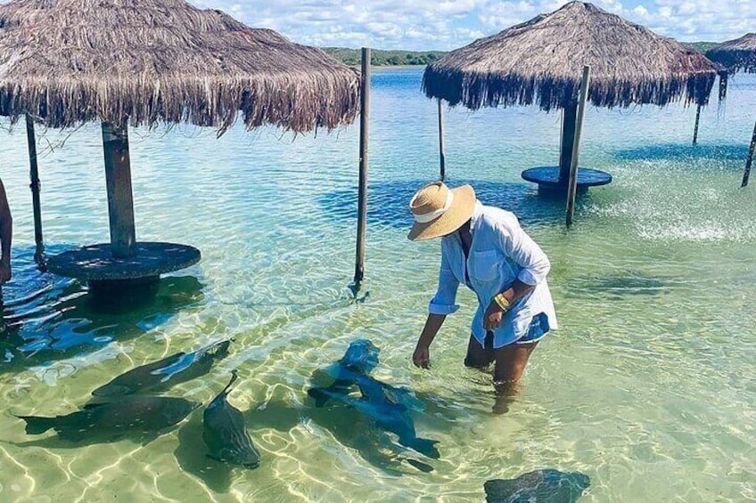 Lagoa dos Tambaquis Structure
