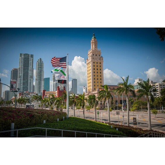 Miami Hop-On Hop-Off Bus Tour 24hr pass 
