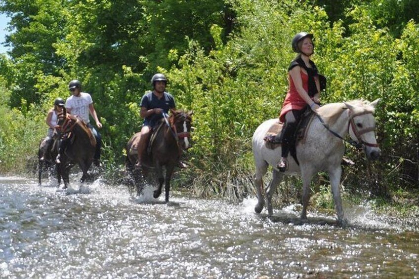 Horse Safari