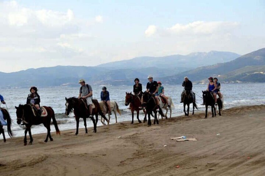 Horse Safari