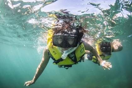 Snorkelen, Lunchen & Varen Cabo San Lucas Boog