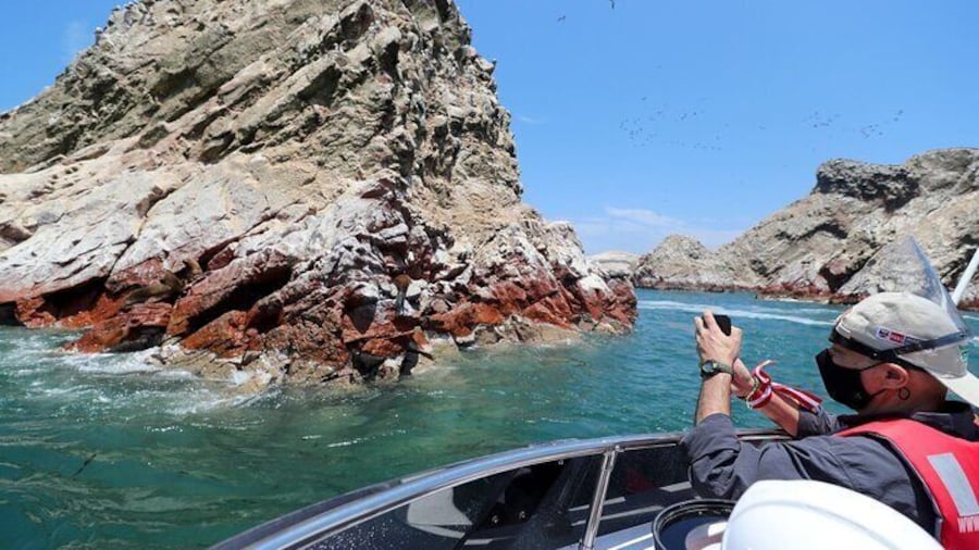 PARACAS! Ballestas Islands + Paracas National Reserve + Candelabro and much more