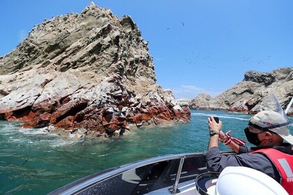 ¡PARACAS! Islas Ballestas + Reserva Nacional de Paracas + Candelabro y much...