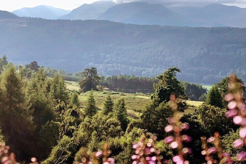 One day private tour of Stirling Castle, the Highlands and standing stones.