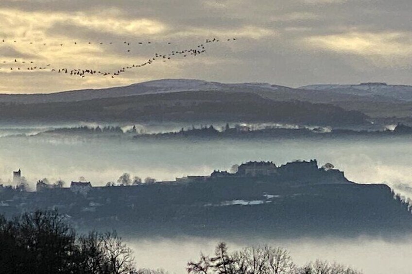 Foggy Stirling Castle