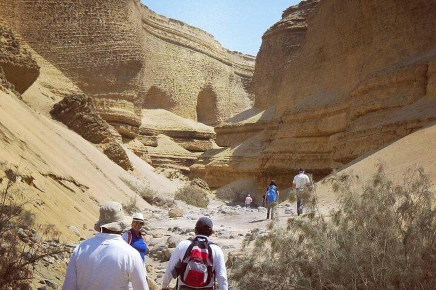Cañón de los Perdidos Excursion