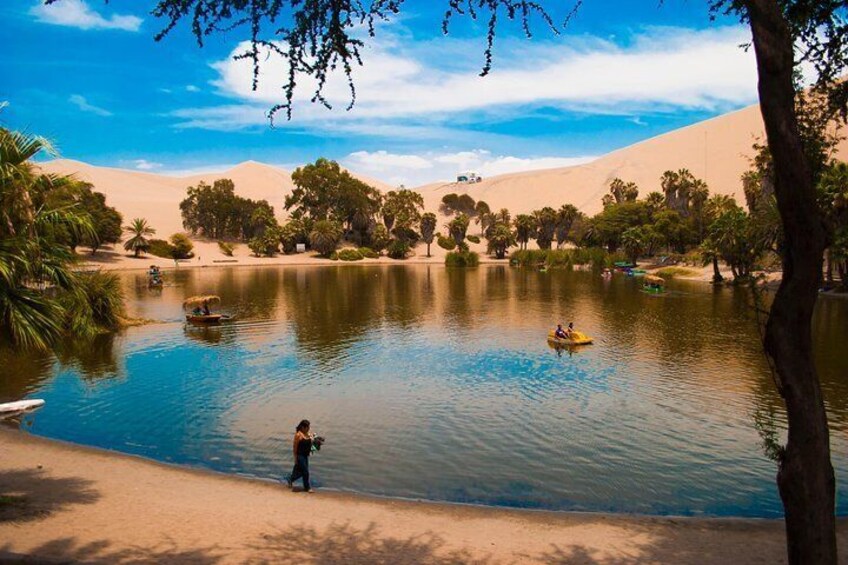 Nazca Lines and Dune Buggy (Huacachina) from Ica