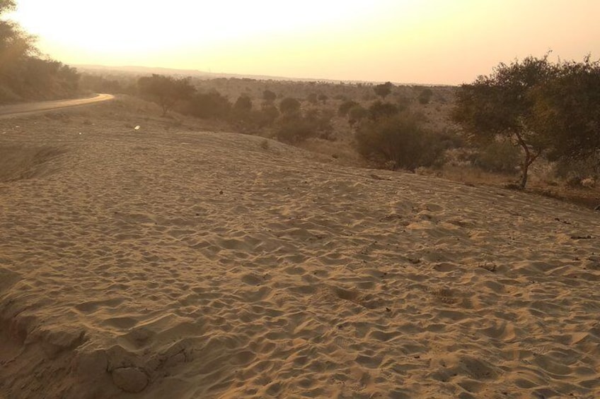 Desert Jeep Safari