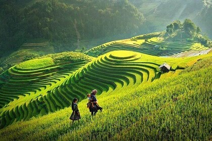 沙巴徒步之旅2天1夜乘巴士