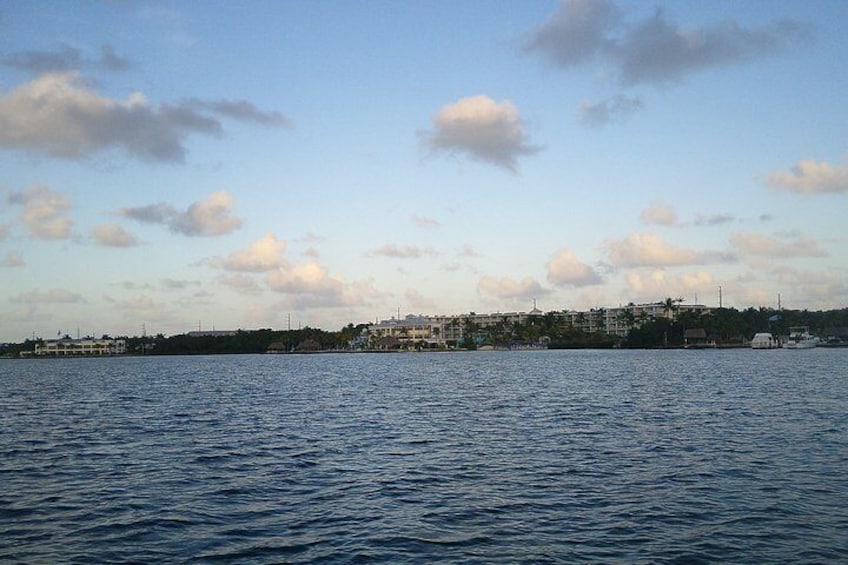 Shoreline view from Balckwater sound the gulf side of Key Largo.