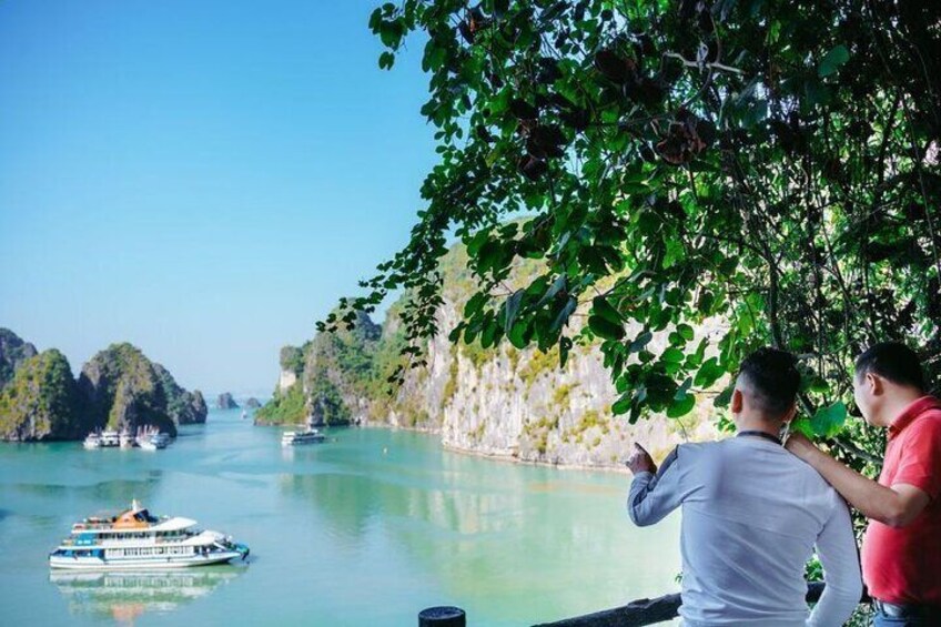 La Casta Cruise - Luxury Day Tour in Halong Bay (Expressway- Limousine)