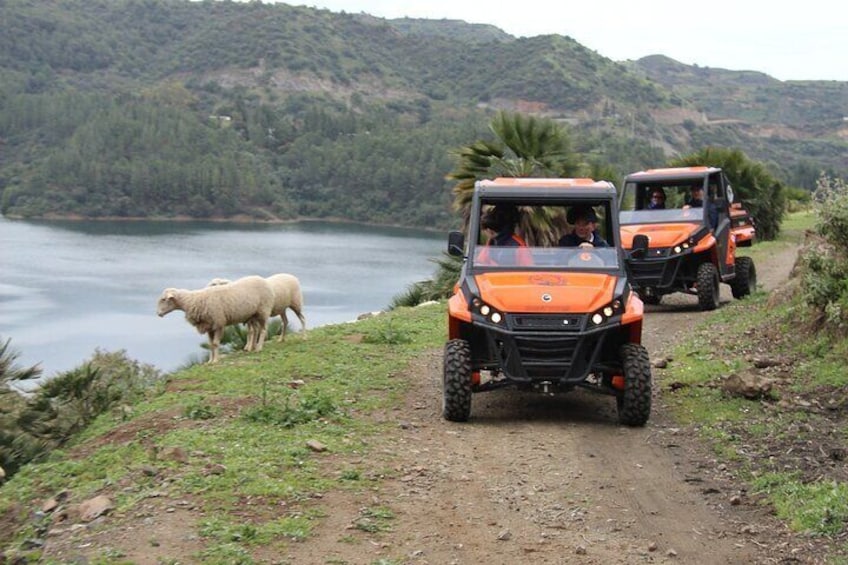 Bugí excursions through the countryside with incredible views of the sea and the reservoir.