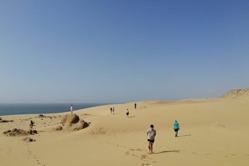 Sandboarding guided experience from Agadir