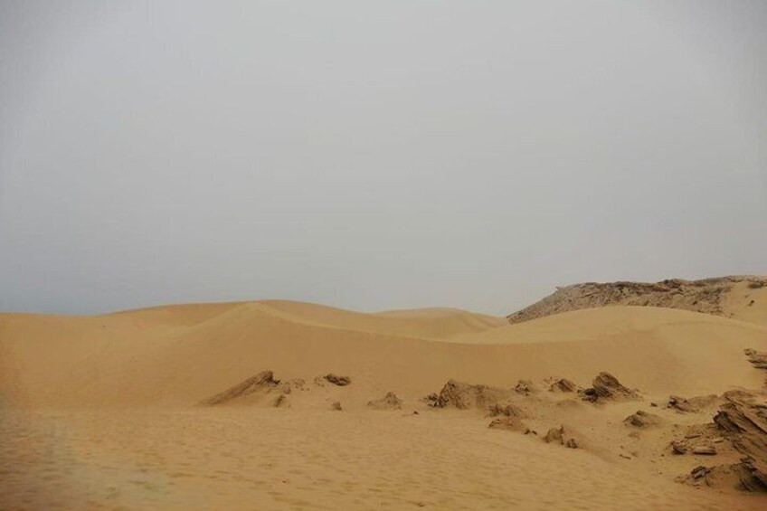 Sandboarding ( sandsurfing ) with lunch in berber house