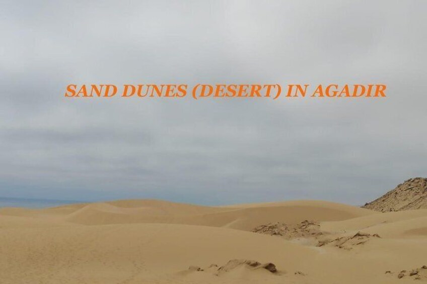 Sahara Tour : Half day trip to sahara (sand dunes ) with lunch 