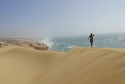 Sahara Tour : Half day trip to sahara (sand dunes ) with lunch