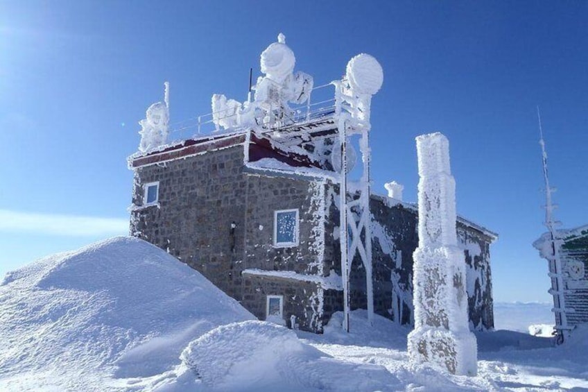 1-day snowshoeing in Vitosha Mountains