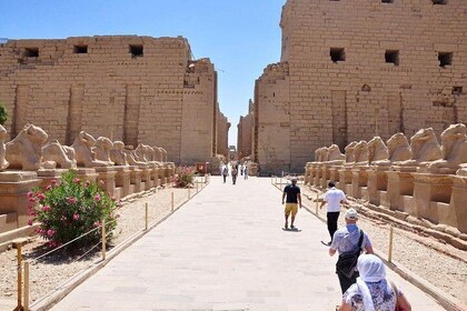 Private full day tour to Luxor city from Hurghada