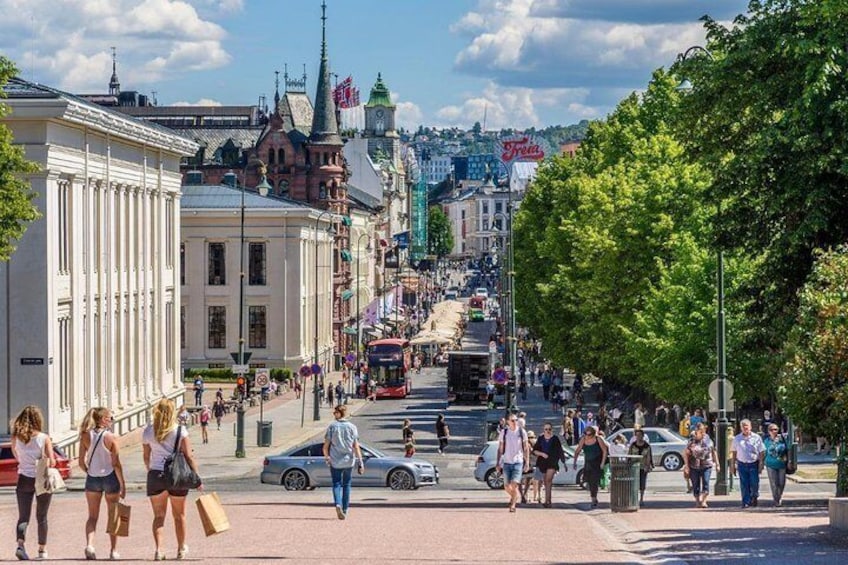 Join-in Shore Excursion: All-Highlights of Oslo