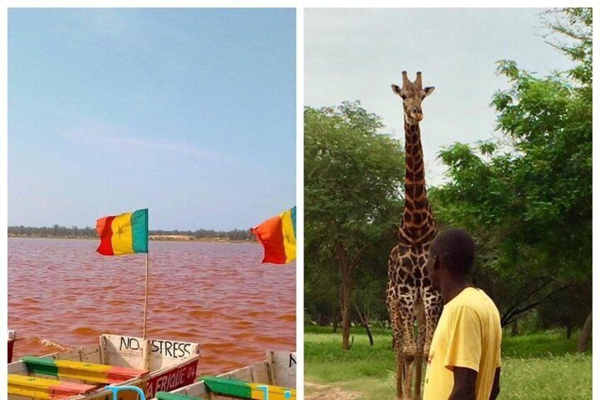 2 Days VISIT Dakar CITY, Gorée ISLAND - PINK LAKE, Parc Bandia