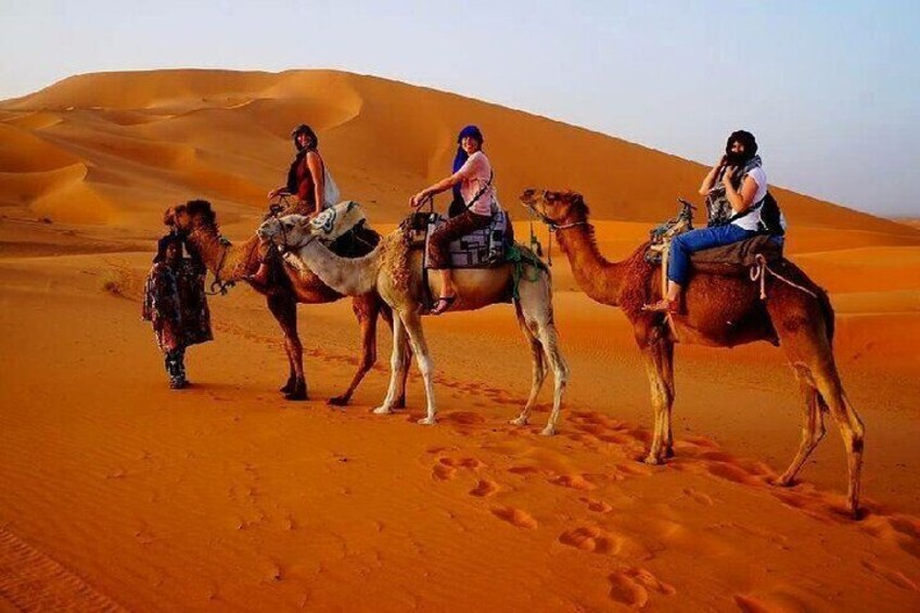 7 Days Luxury Desert Tour From Casablanca to Marrakech via fez -Camel trekking